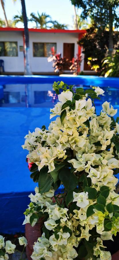 Hotel Oasis Melaque San Patricio Melaque Εξωτερικό φωτογραφία